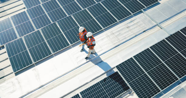 Best Roof Moss and Algae Removal  in Somerset, PA